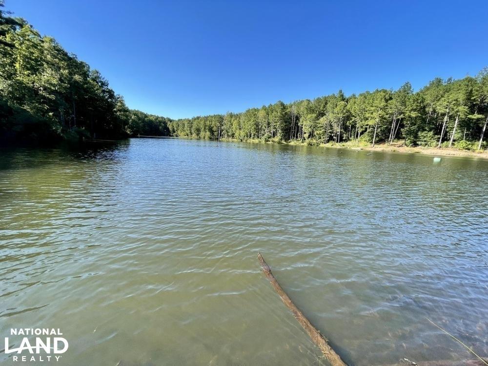 The Springhill Lake Timber And Hunting Investment Joe Baya National