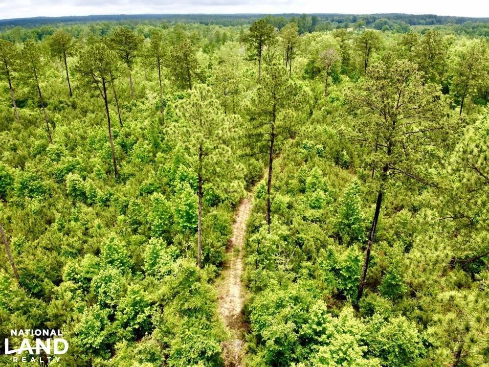 Laton Hill Escatawpa River Tract Joe Baya National Land Realty