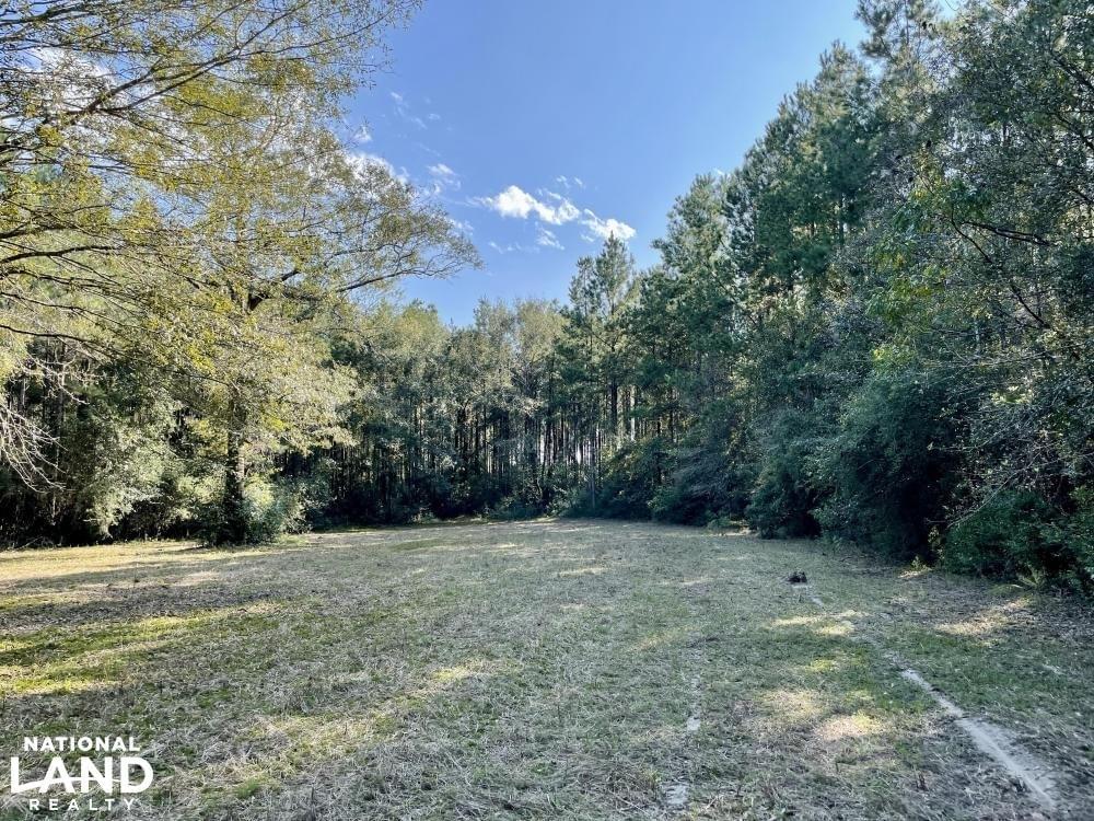 Escatawpa River Timber and Hunting Investment Joe Baya National