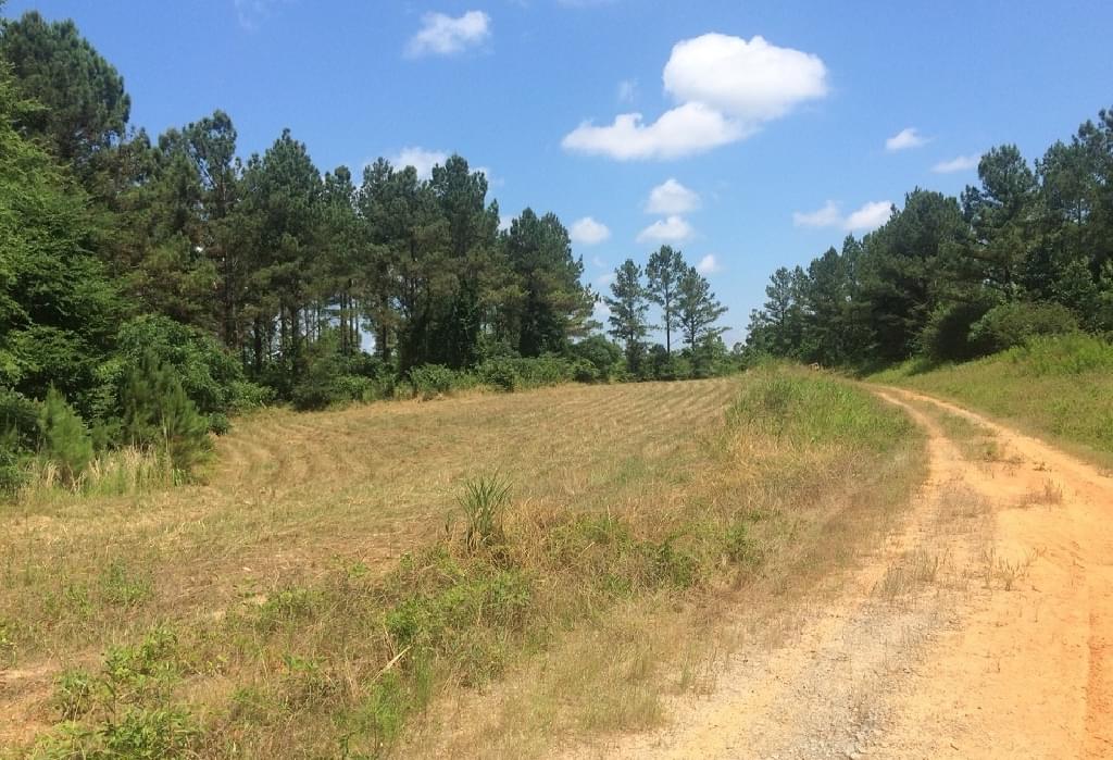 Alabama Commercial Land For Sale Joe Baya National Land Realty