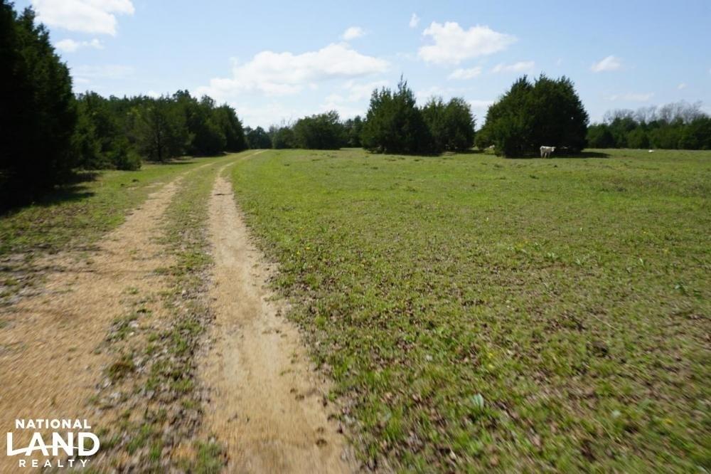 Epes Cattle Land Timberland Hunting Farming Joe Baya National