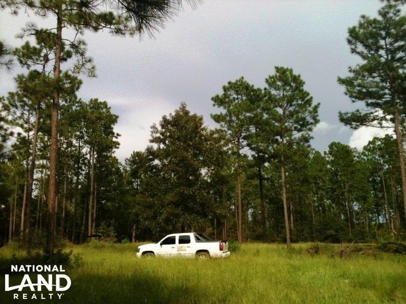 Lott Road Escatawpa River Tract Joe Baya National Land Realty