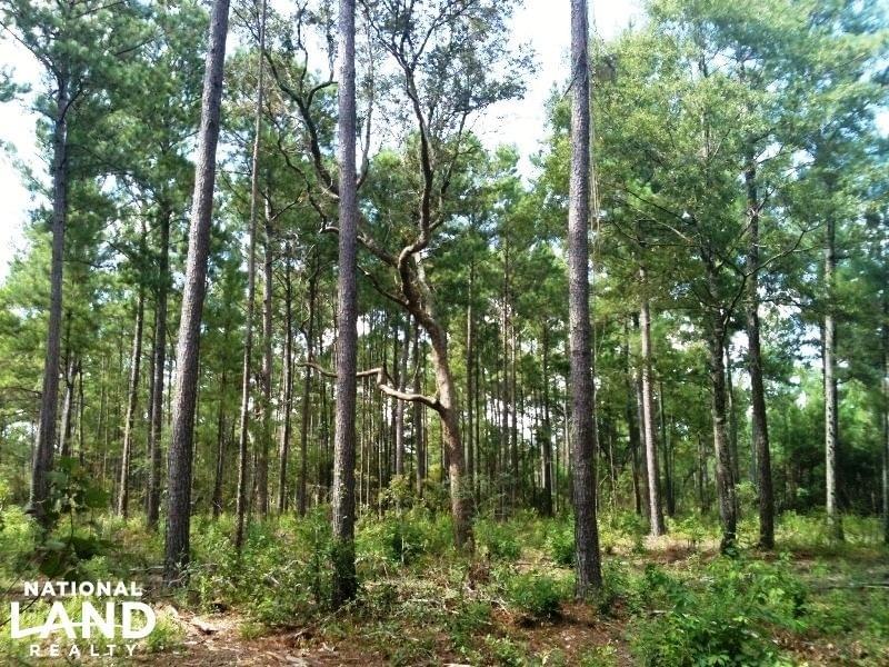 Lott Road Escatawpa River Tract Joe Baya National Land Realty