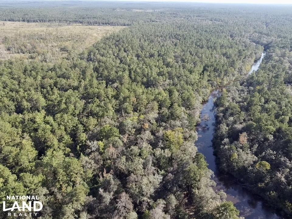 Escatawpa River Timber and Hunting Investment Joe Baya National