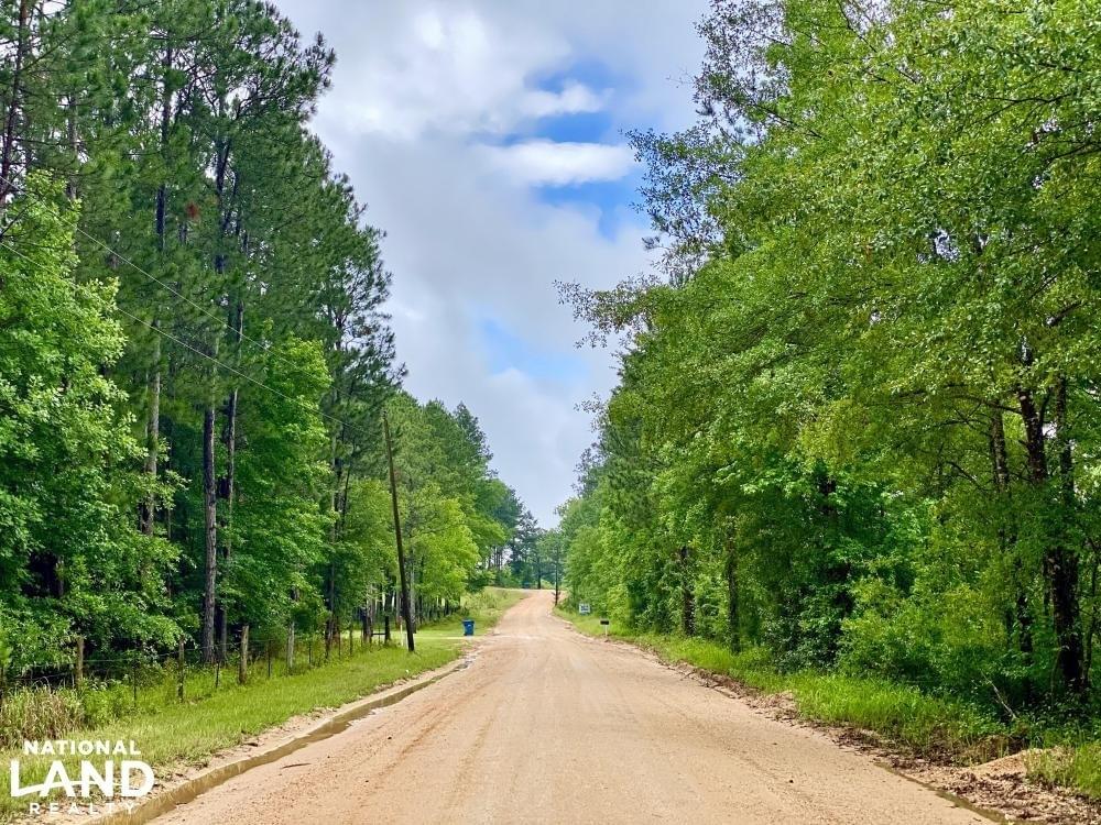 Laton Hill Escatawpa River Tract Joe Baya National Land Realty