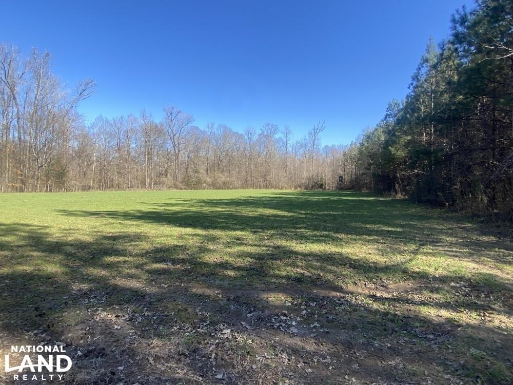 Sumter Longleaf Hunting Tract Joe Baya National Land Realty