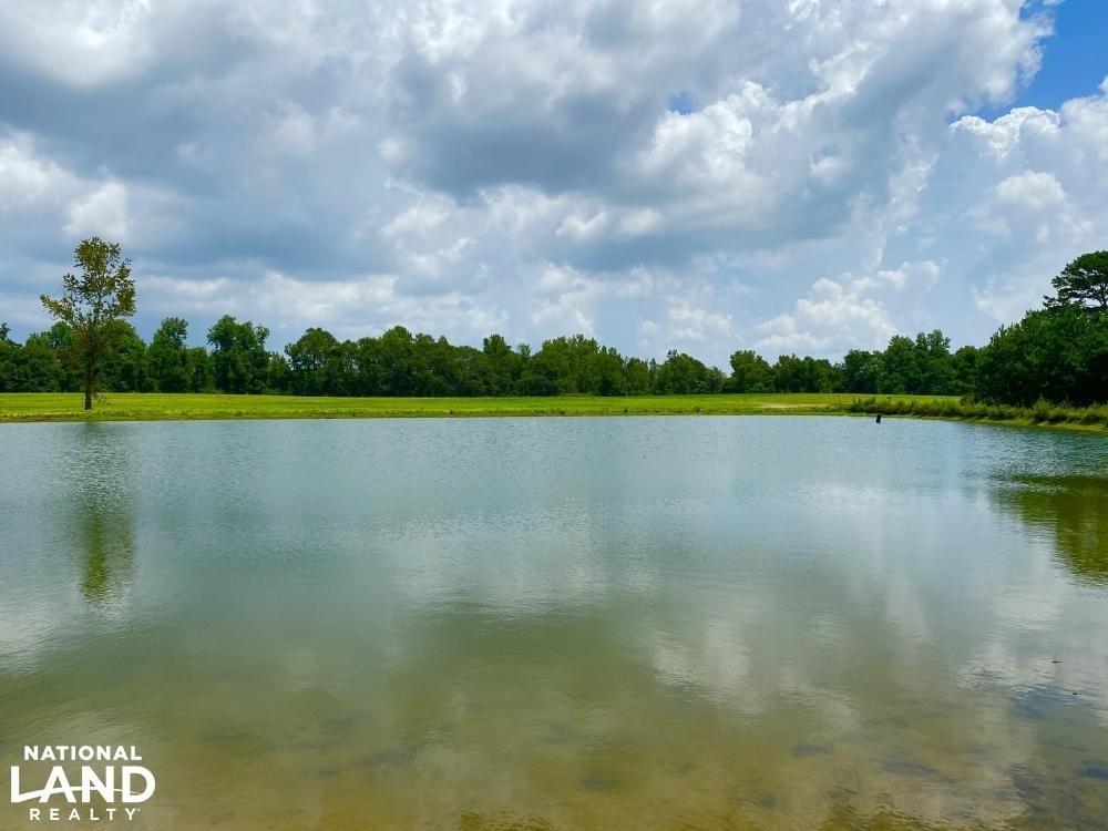 East Fork Choctawhatchee River Farm and Recreational Tract Joe Baya