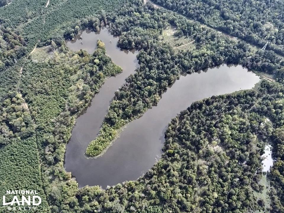 Black Warrior River Demopolis Hunting & Timber Investment Joe Baya