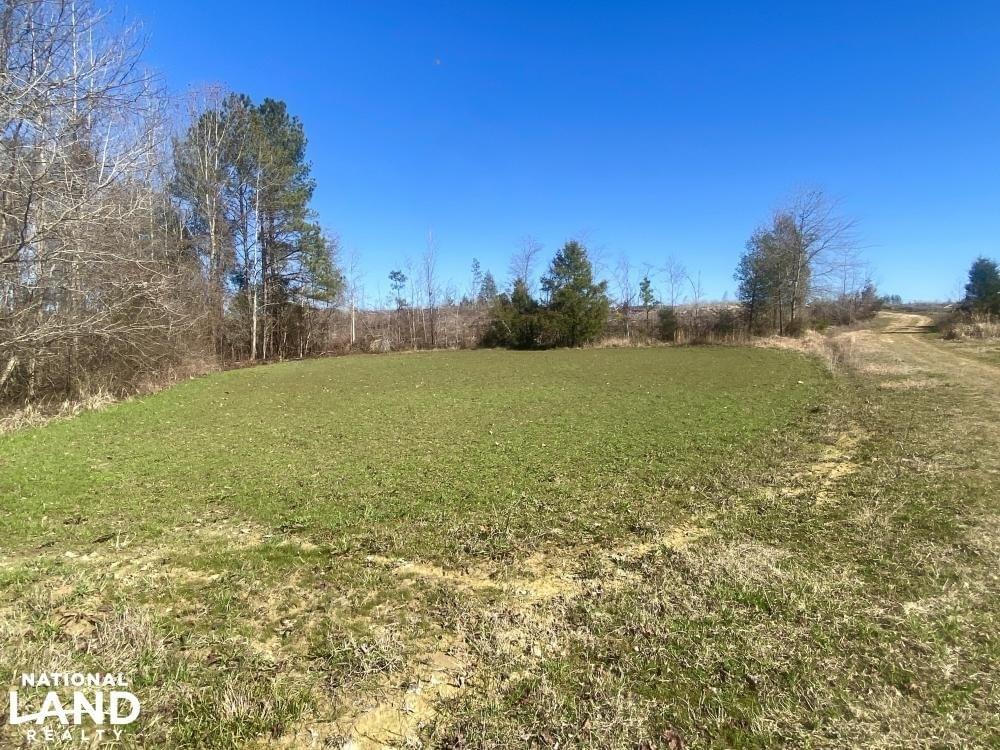 Sumter Longleaf Hunting Tract Joe Baya National Land Realty