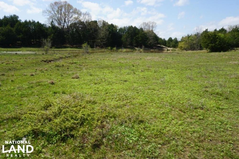 Alabama Farms, Ranches and Plantation For Sale Joe Baya National