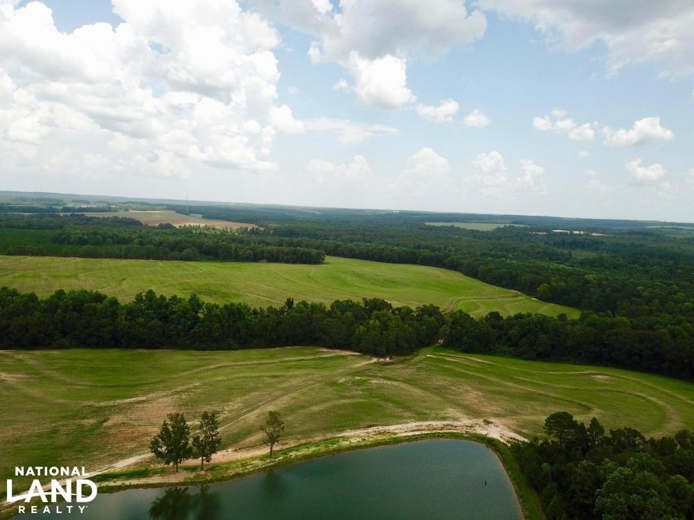 Alabama Farms, Ranches and Plantation For Sale Joe Baya National