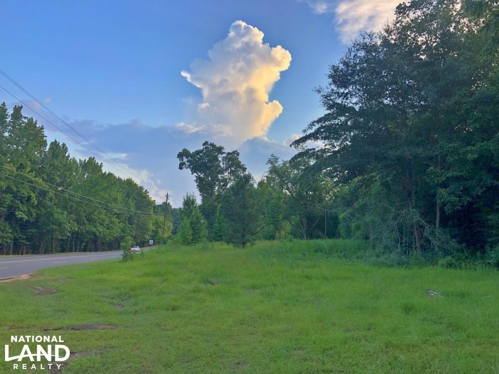 Pineapple Highway Tract Joe Baya National Land Realty