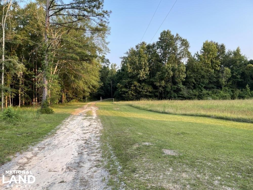 Sweet Water Home And Recreational Estate Joe Baya National Land Realty