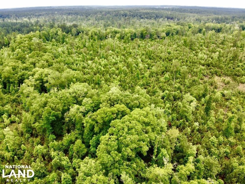 Laton Hill Escatawpa River Tract Joe Baya National Land Realty