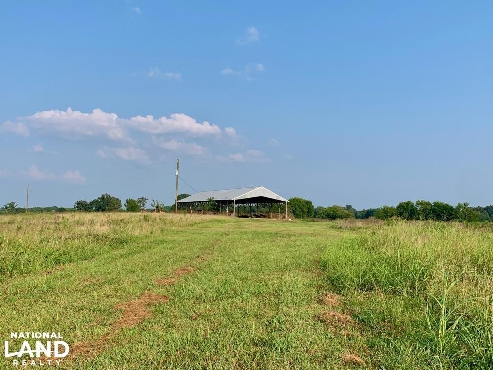 Emelle High Fence Hunting and Recreational Tract Joe Baya National