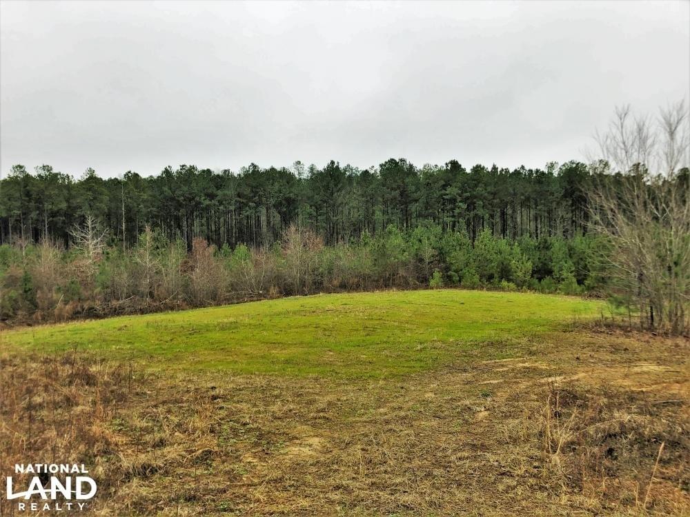 Vance Timber Investment and Hunting Tract Joe Baya National Land Realty