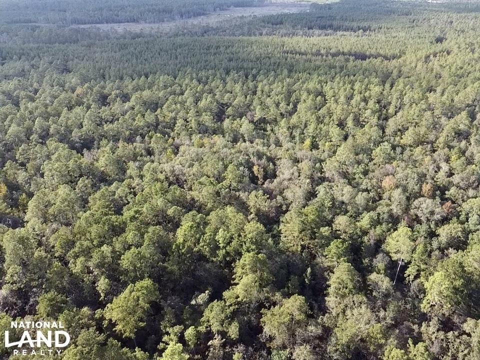 Escatawpa River Timber and Hunting Investment Joe Baya National