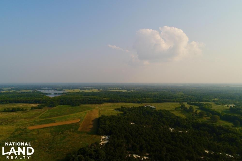Emelle High Fence Hunting and Recreational Tract Joe Baya National