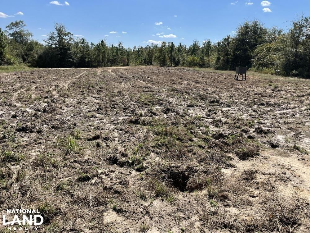 Tibbie Deer Park Timber & Hunting Land Tract A Joe Baya National