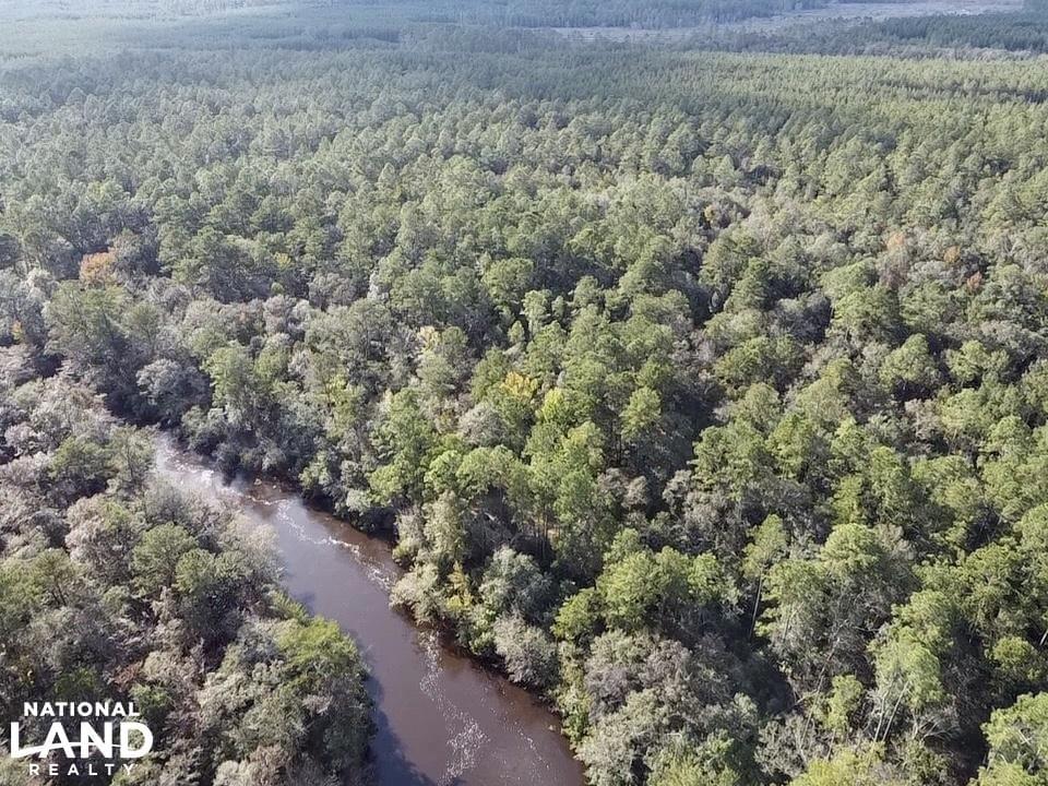 Escatawpa River Timber and Hunting Investment Joe Baya National