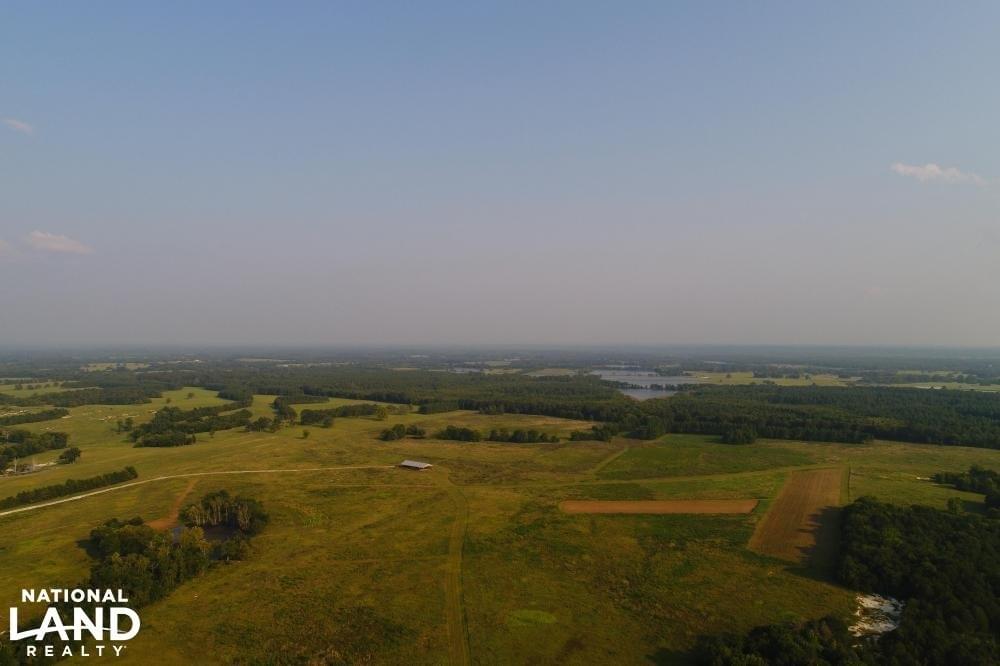 Emelle High Fence Hunting and Recreational Tract Joe Baya National