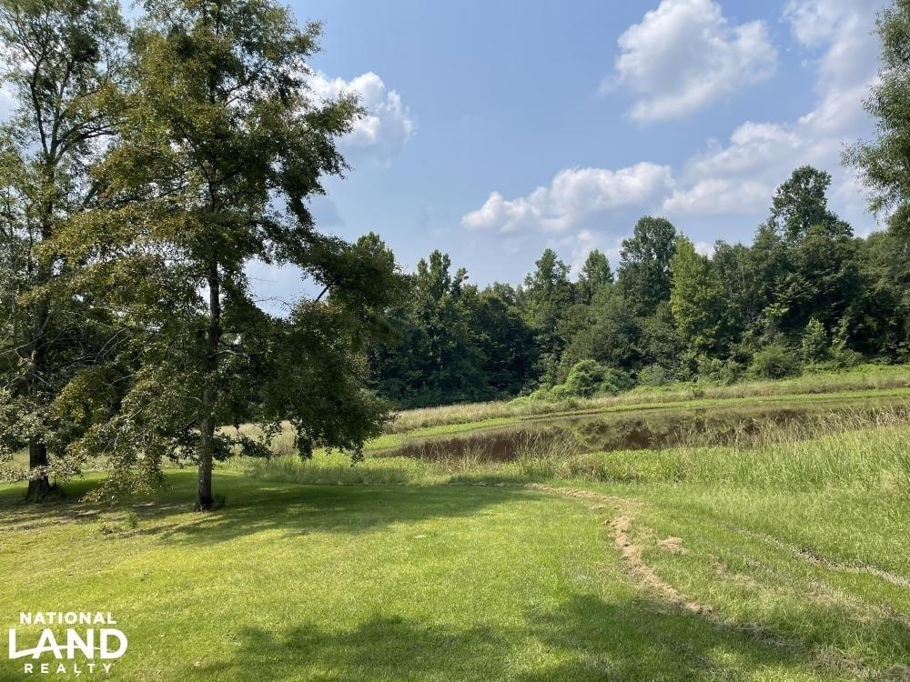 Sweet Water Home And Recreational Estate Joe Baya National Land Realty