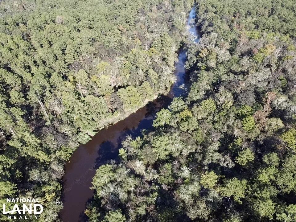 Escatawpa River Timber and Hunting Investment Joe Baya National