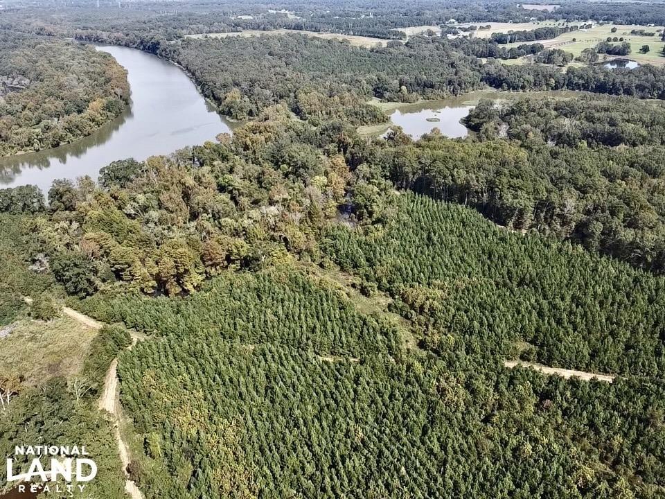 Black Warrior River Demopolis Hunting & Timber Investment Joe Baya