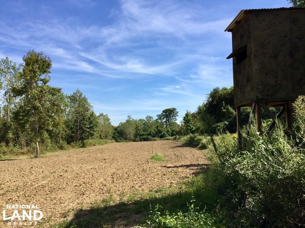 Tombigbee River Upper State Game Sanctuary Tract Joe Baya National
