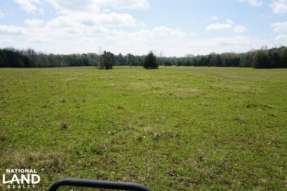 Epes Cattle Land Timberland Hunting Farming Joe Baya National