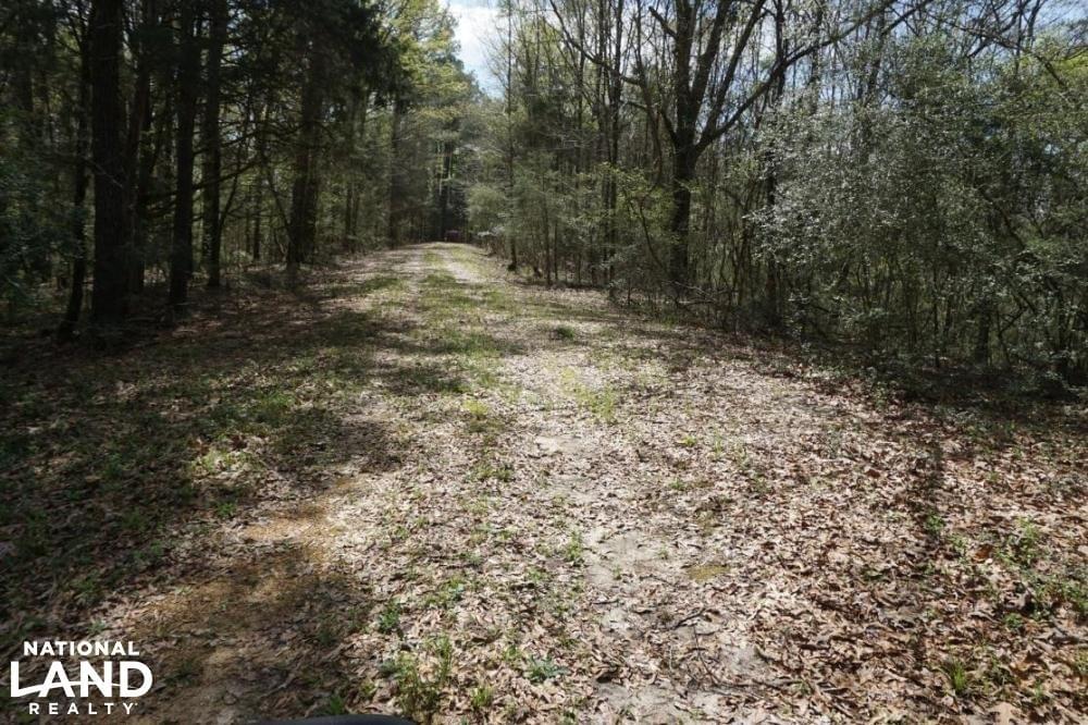 Epes Cattle Land Timberland Hunting Farming Joe Baya National