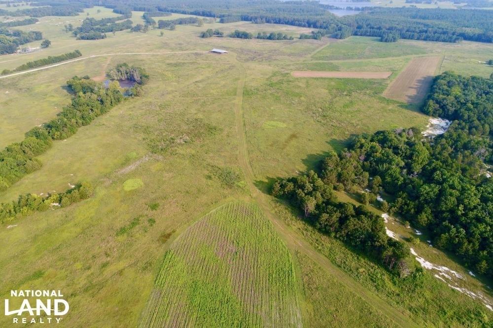 Emelle High Fence Hunting and Recreational Tract Joe Baya National