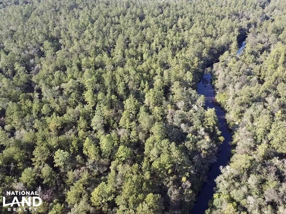 Escatawpa River Timber and Hunting Investment Joe Baya National