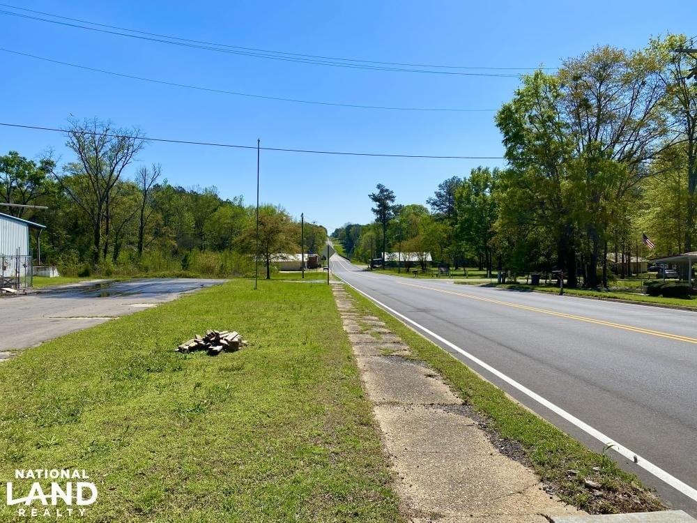 Blue Springs Natural Spring Joe Baya National Land Realty