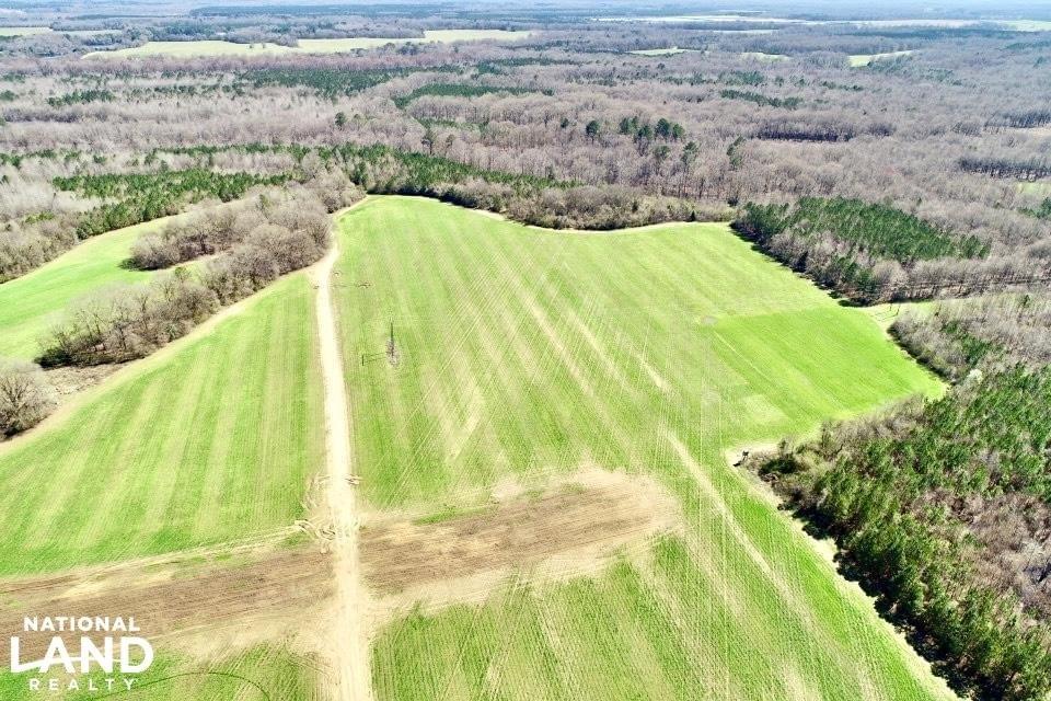 Alabama Farms, Ranches and Plantation For Sale Joe Baya National