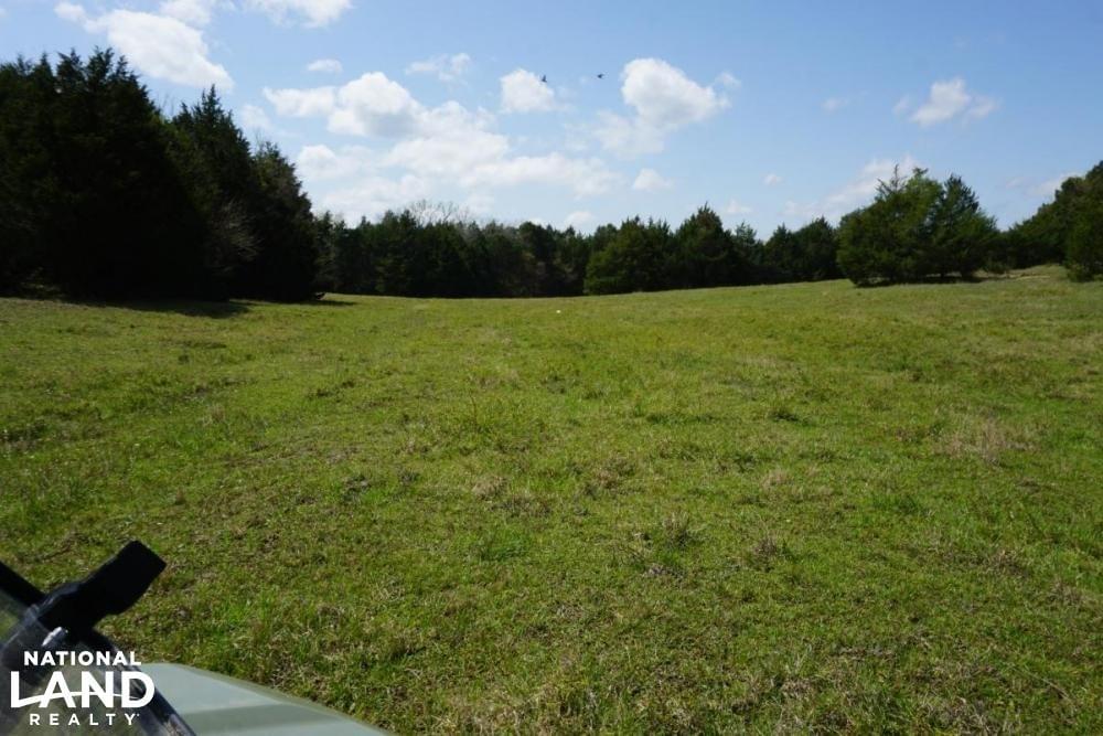 Epes Cattle Land Timberland Hunting Farming Joe Baya National