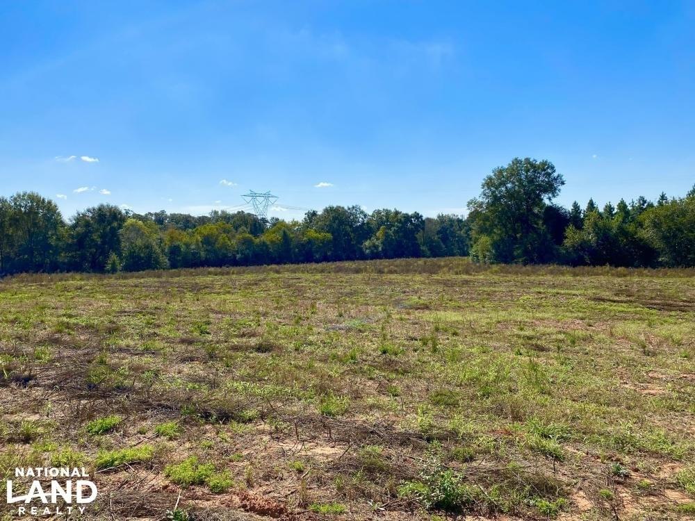 Alabama Hunting Land For Sale Joe Baya National Land Realty