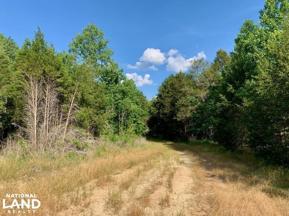 Sumter Longleaf Hunting Tract Joe Baya National Land Realty