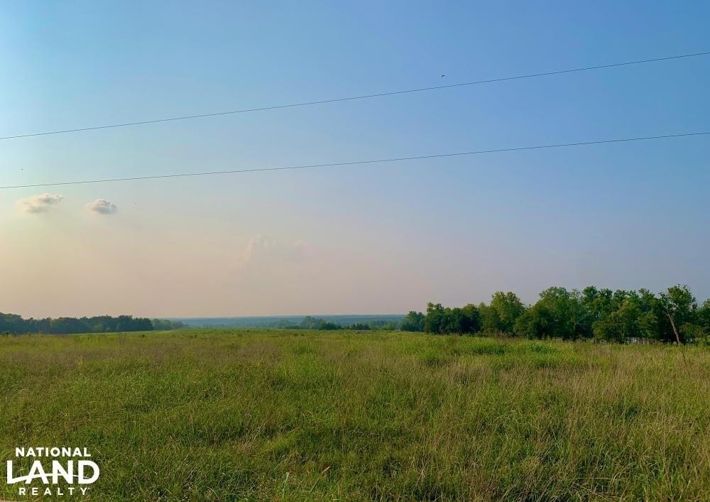 Emelle High Fence Hunting and Recreational Tract Joe Baya National