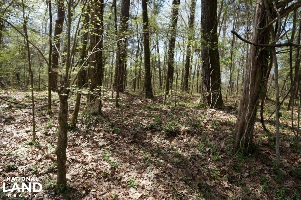 Epes Cattle Land Timberland Hunting Farming Joe Baya National