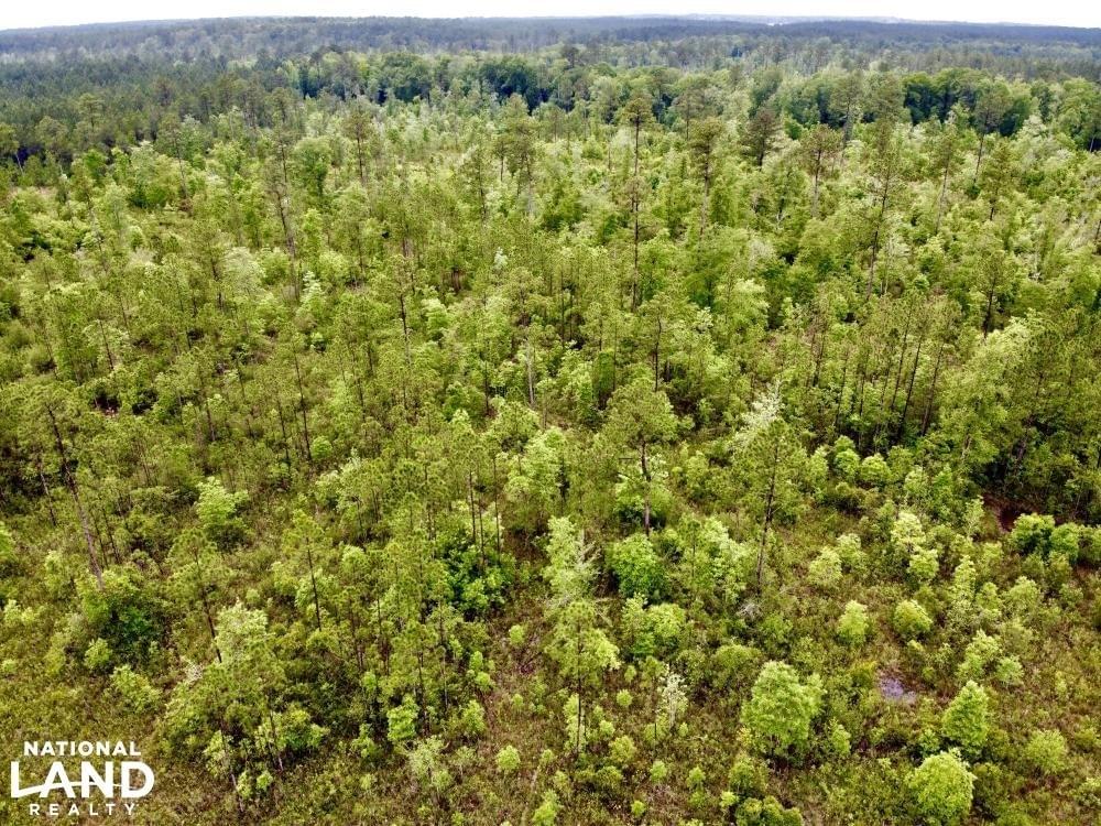 Laton Hill Escatawpa River Tract Joe Baya National Land Realty