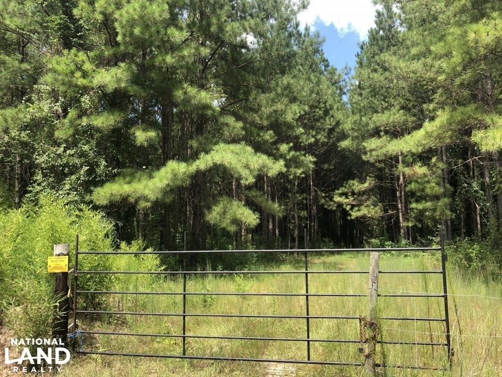 Grady Timber Investment and Hunting Tract Joe Baya National Land Realty