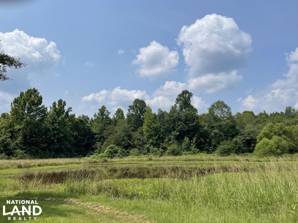 Sweet Water Home And Recreational Estate Joe Baya National Land Realty