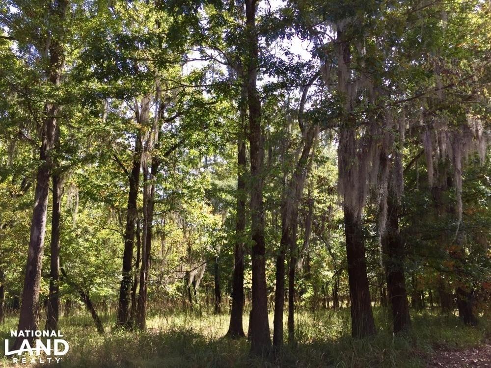 Tombigbee River Upper State Game Sanctuary Tract Joe Baya National