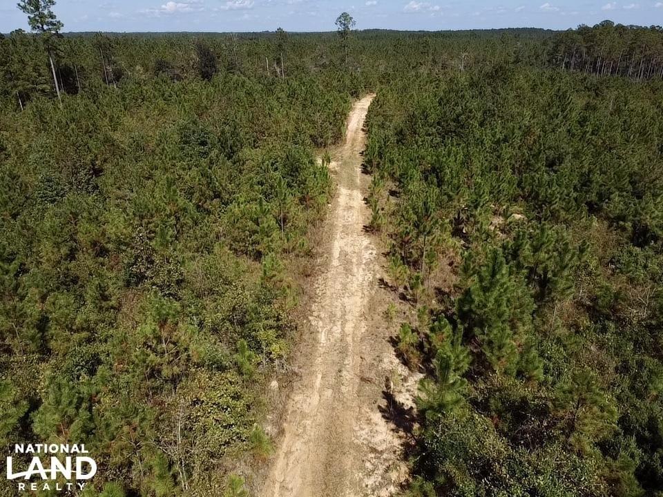 Tibbie Deer Park Timber & Hunting Land Tract A Joe Baya National