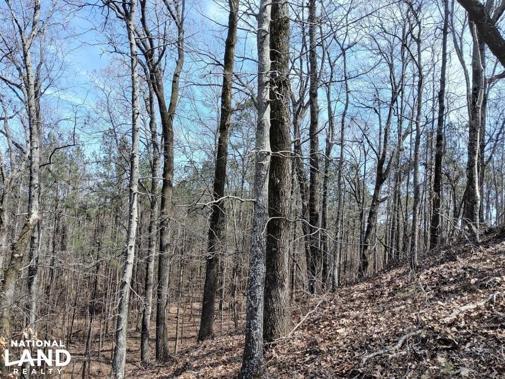 Braggs Road Hunting and Rec Property Joe Baya National Land Realty