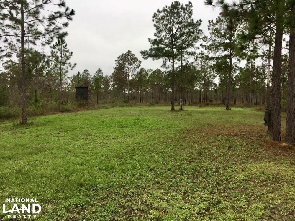 McIntosh Hunting & Timber Investment Joe Baya National Land Realty