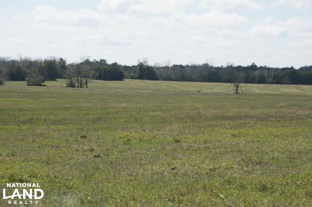 Epes Cattle Land Timberland Hunting Farming Joe Baya National