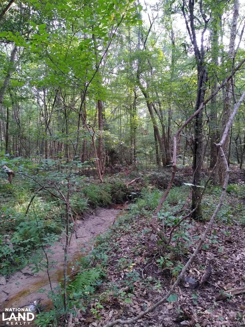 Camp Site adjacent to Barbour WMA Joe Baya National Land Realty