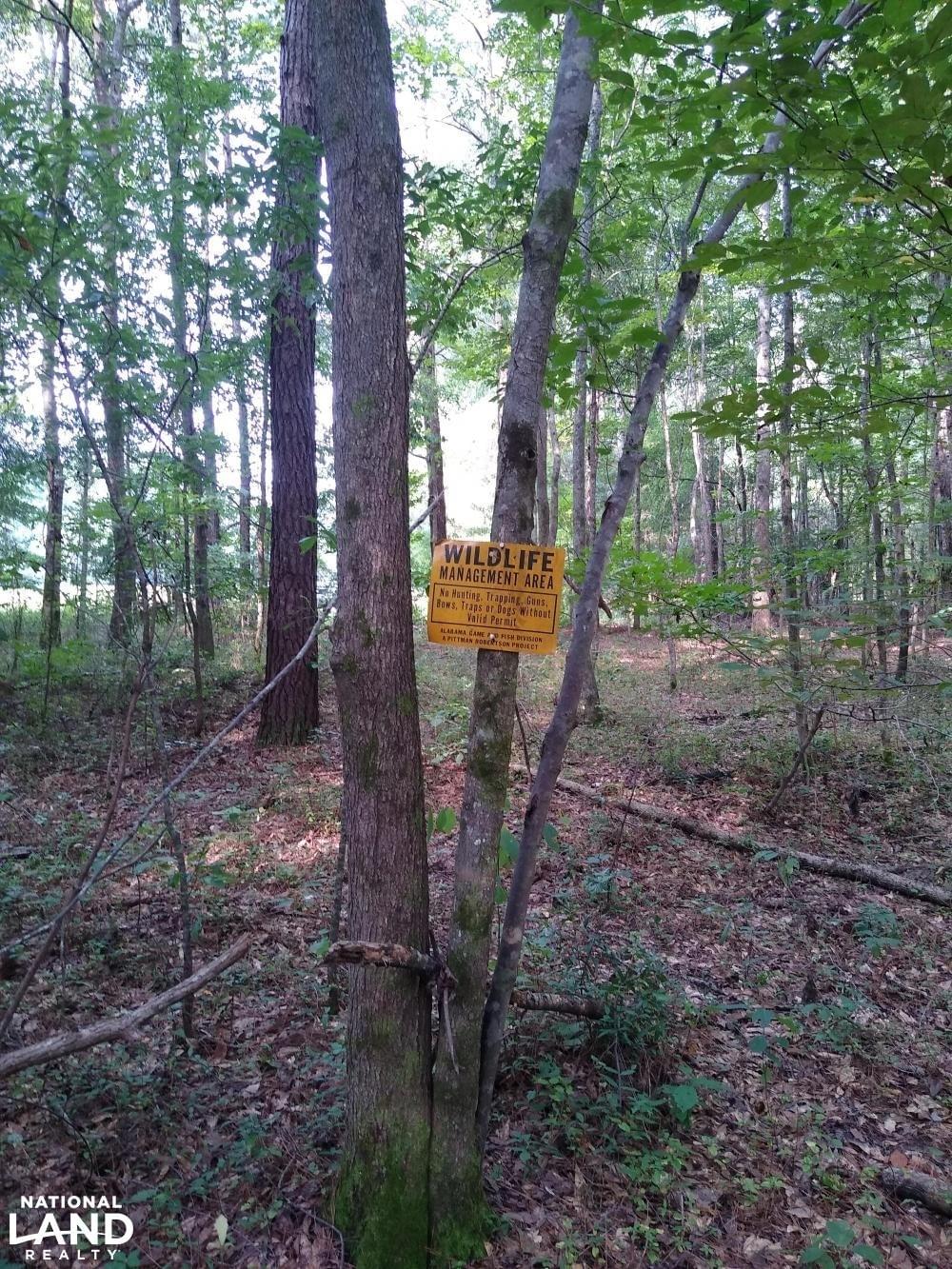 Camp Site adjacent to Barbour WMA Joe Baya National Land Realty